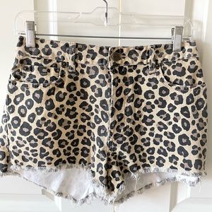 Amuse Society Leopard Print Ray Hem Button Fly Shorts Size 27